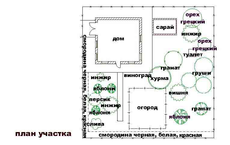 Дачный участок схема Дачный участок схема